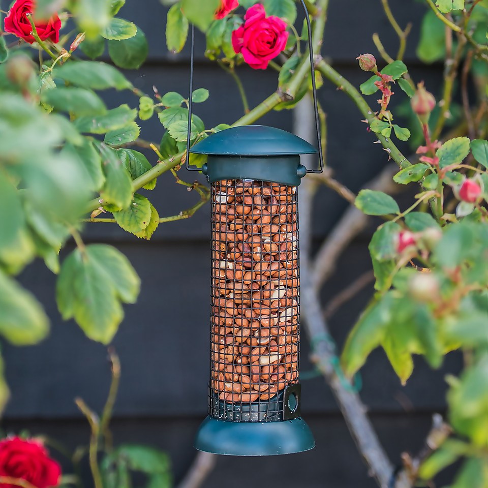 Berry Wild Bird Food Split Peanuts 12.55kg Homebase