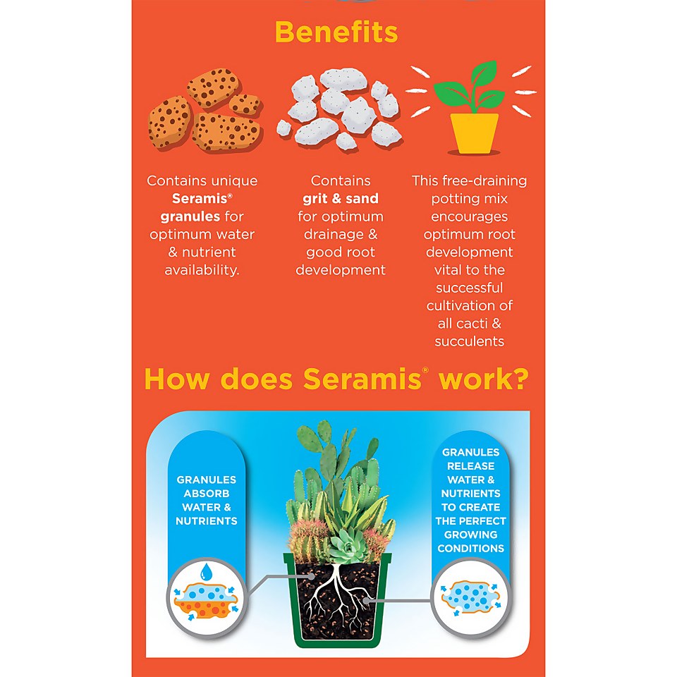 Westland Peat Free Cacti & Succulent Potting Mix 4L Homebase