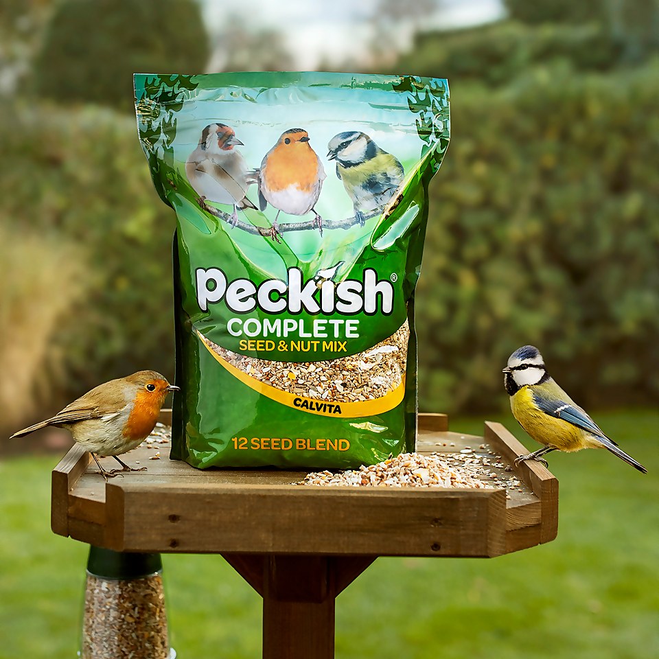 Peckish Complete Seed & Nut Bird Food 1kg Homebase