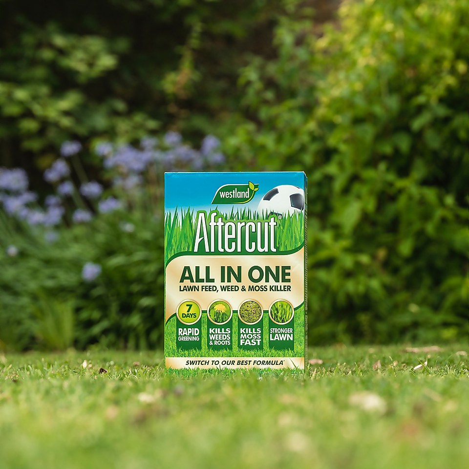 Aftercut AllInOne Lawn Feed, Weed & Moss Killer 80m² Homebase