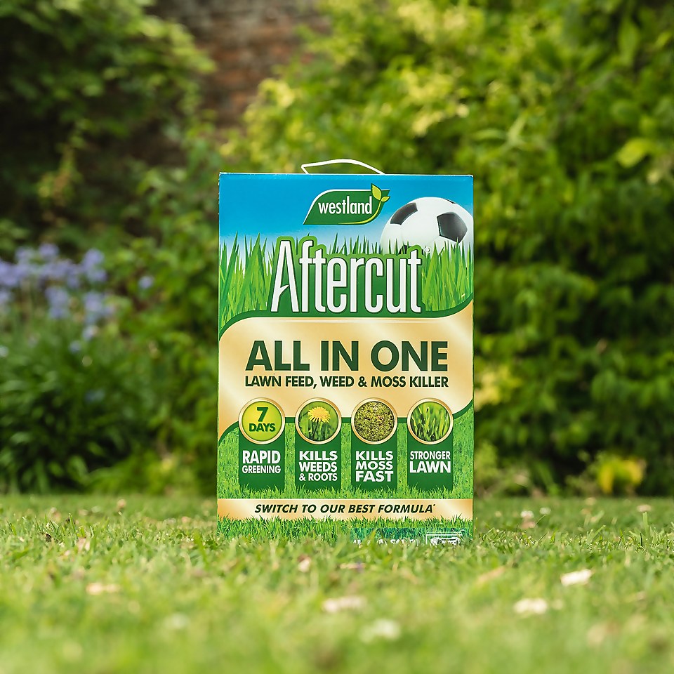 Aftercut AllInOne Lawn Feed, Weed & Moss Killer 160m² Homebase