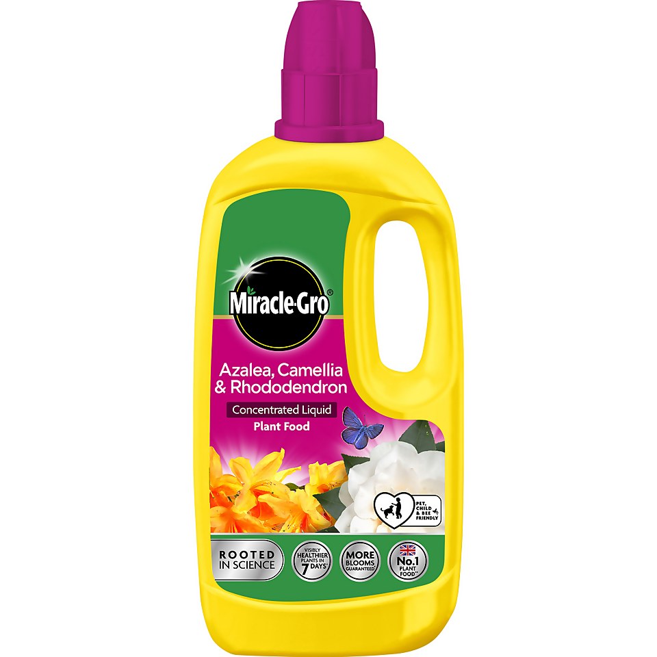Miracle-Gro Azalea, Camellia & Rhododendron Concentrated Liquid Plant Food - 800ml