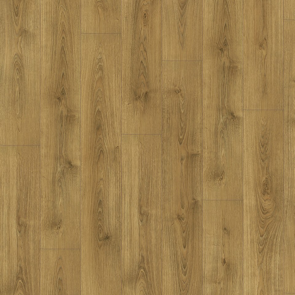 EGGER HOME Honey Brook Oak 12mm Laminate Flooring Sample