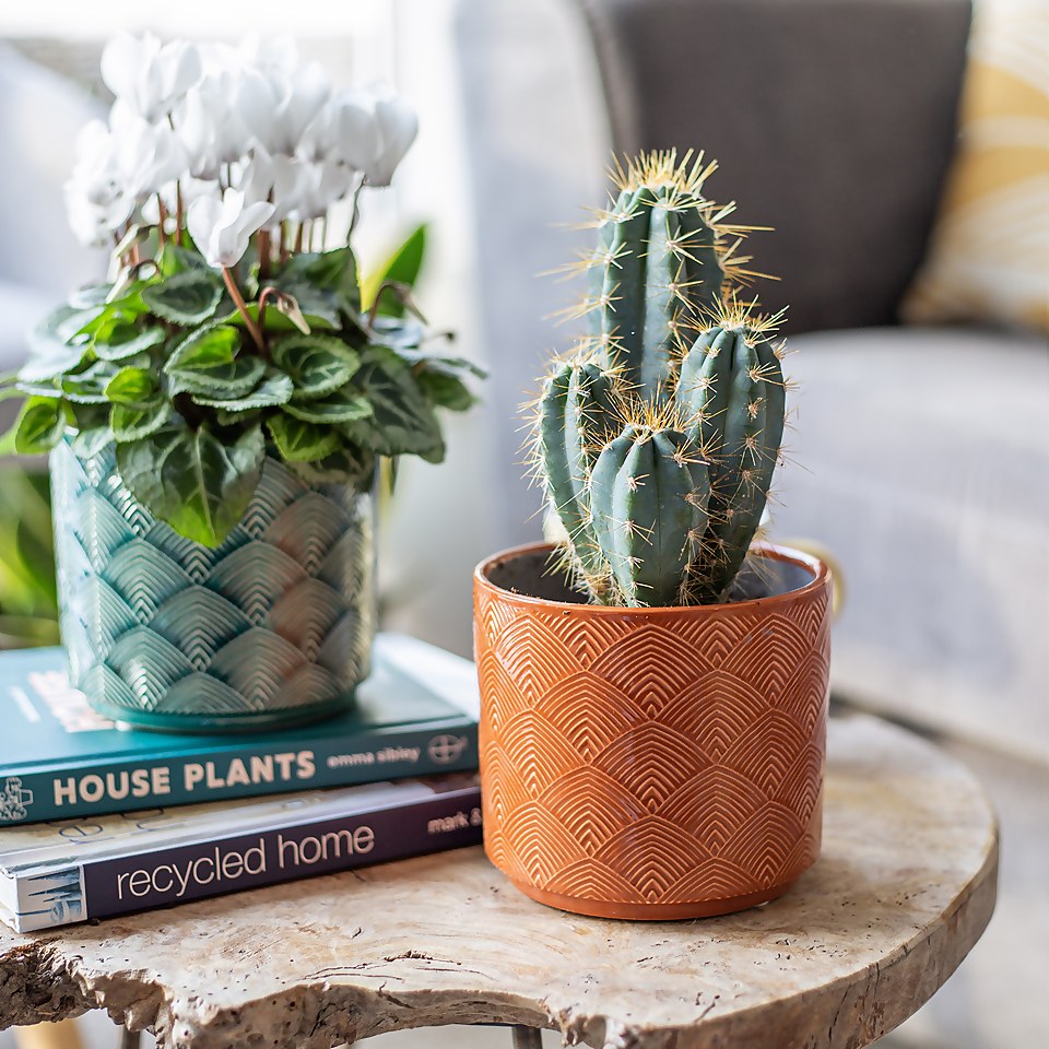 Art Deco Indoor Plant Pot 12cm Homebase