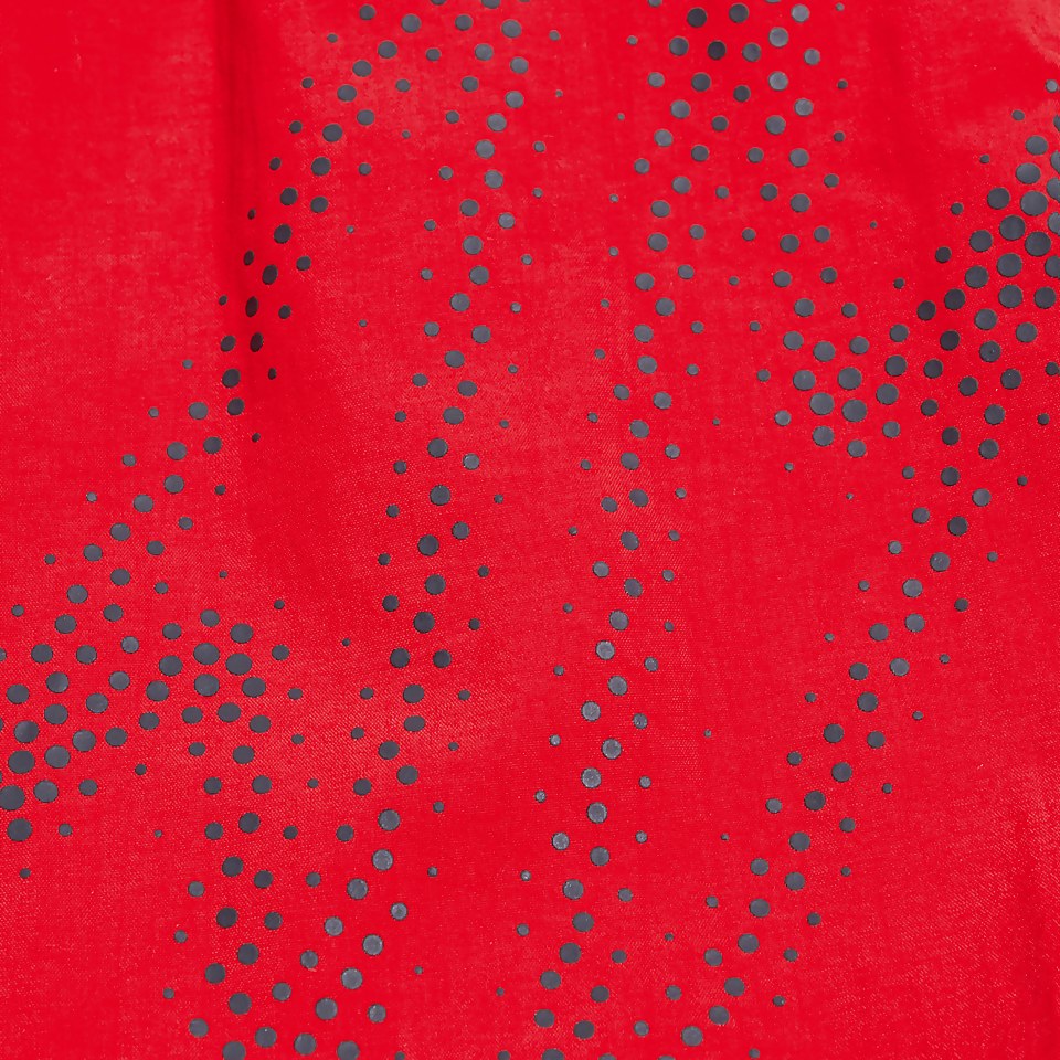Hyper Boom Logo 40 cm Schwimmshorts für Herren Rot/Grau