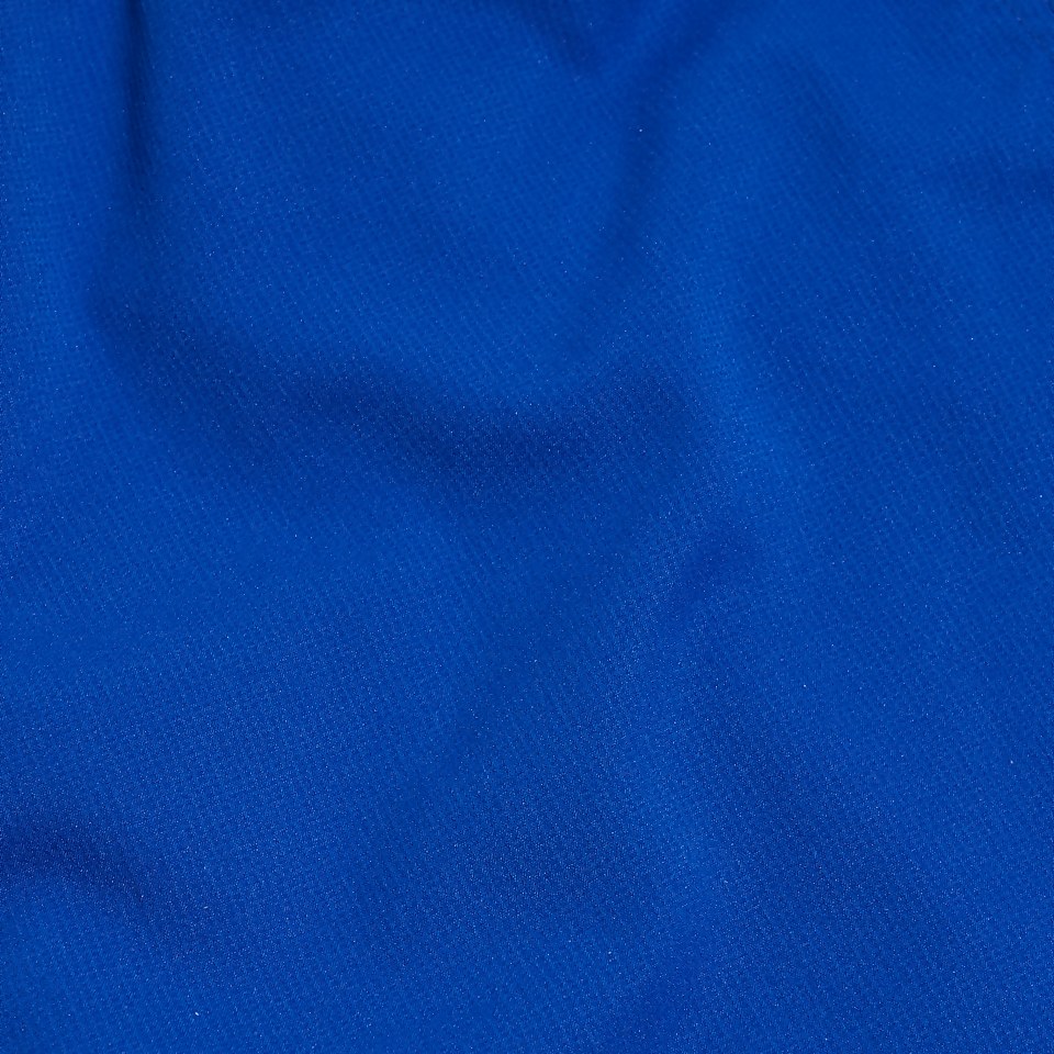 Men's Sport Logo 16" Swim Shorts Blue