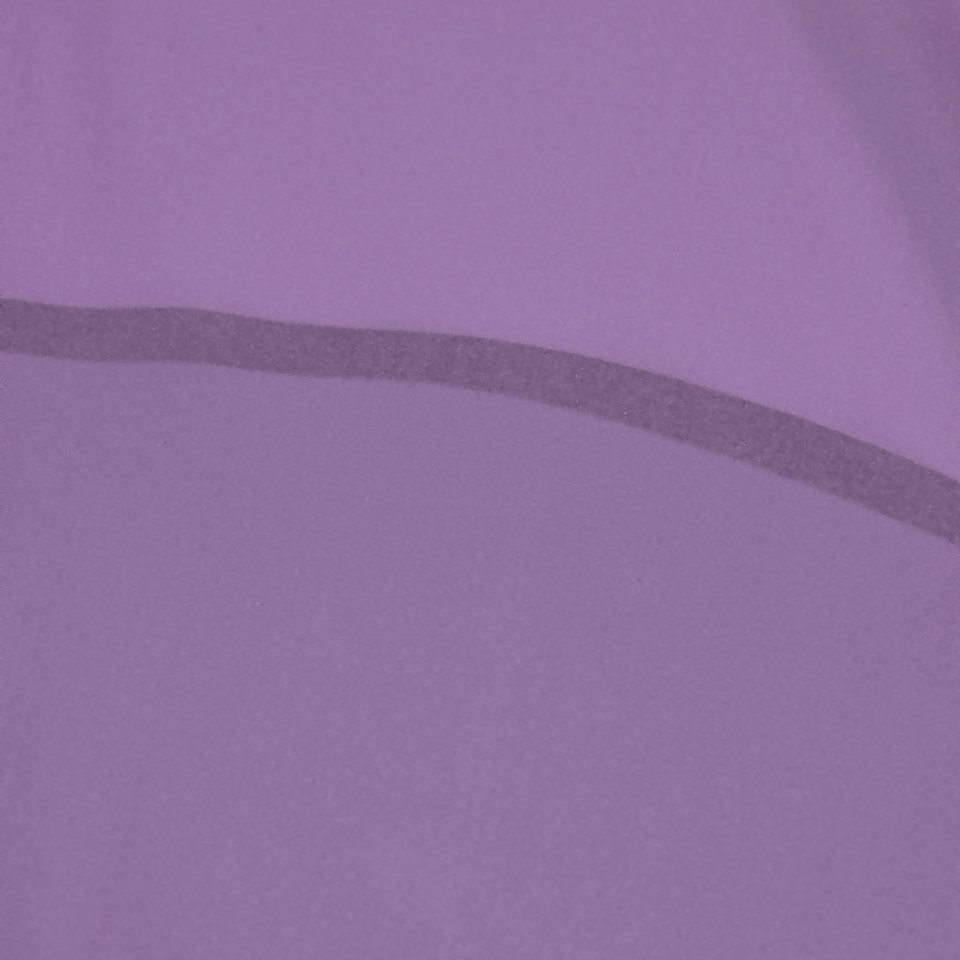 Jammer Homme Fastskin LZR Pure Valor Purple Reign