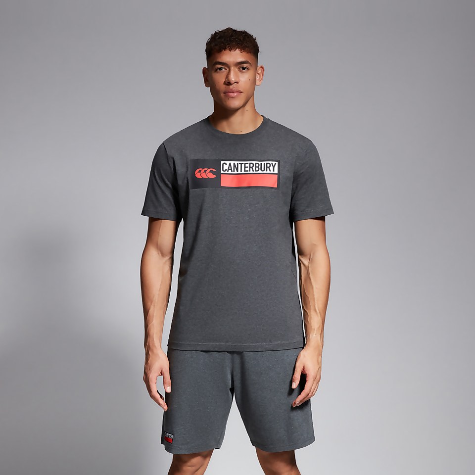 MENS VAPODRI COTTON SHORTS GREY MARL