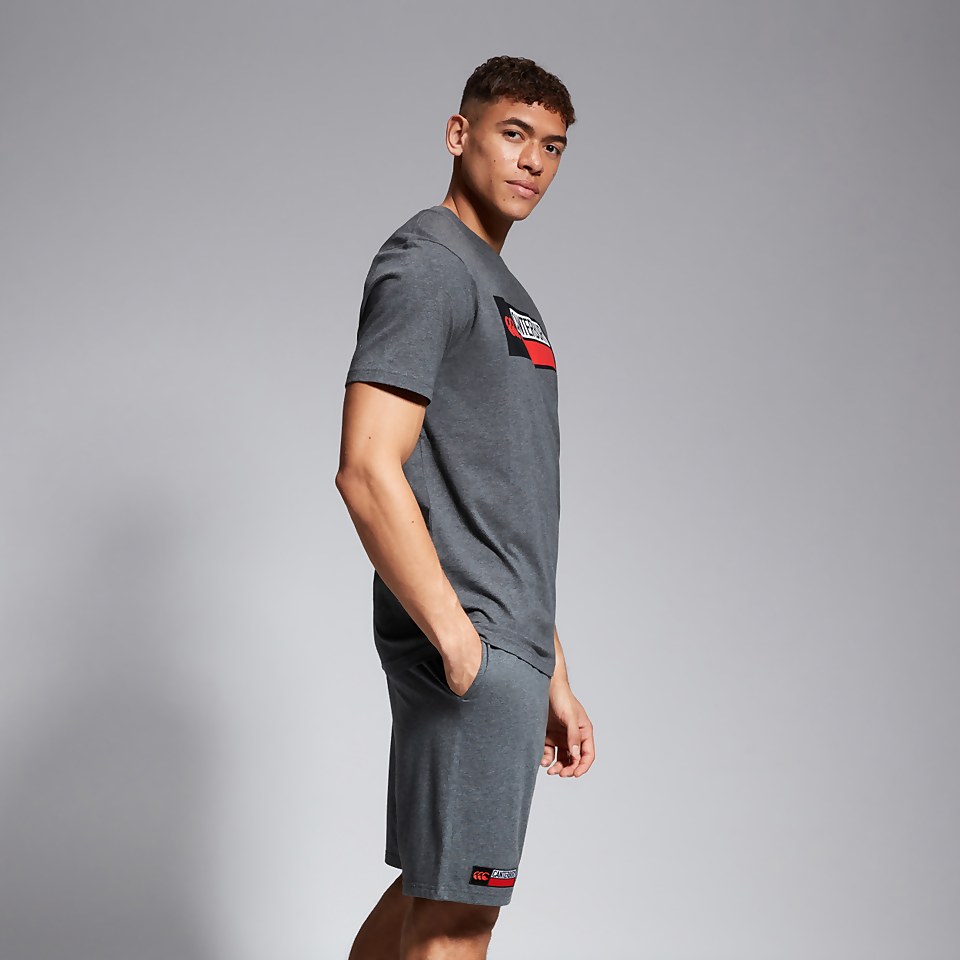MENS COTTON LOGO TEE GREY MARL