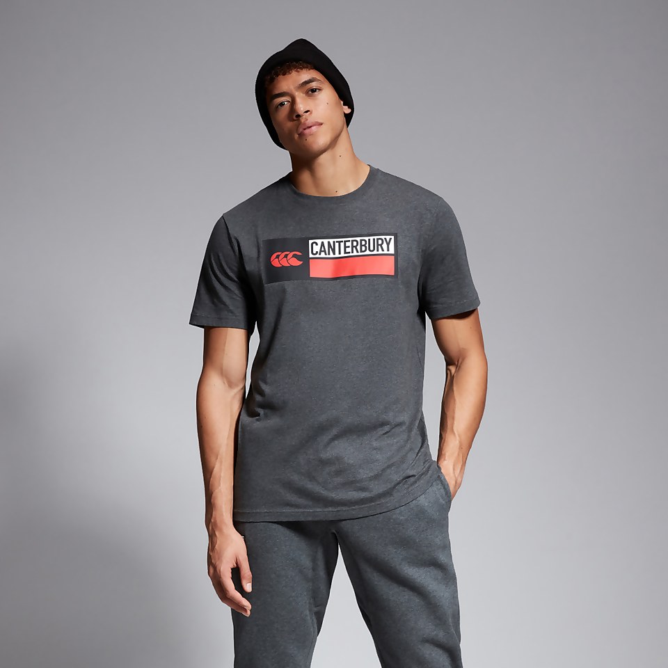 MENS COTTON LOGO TEE GREY MARL