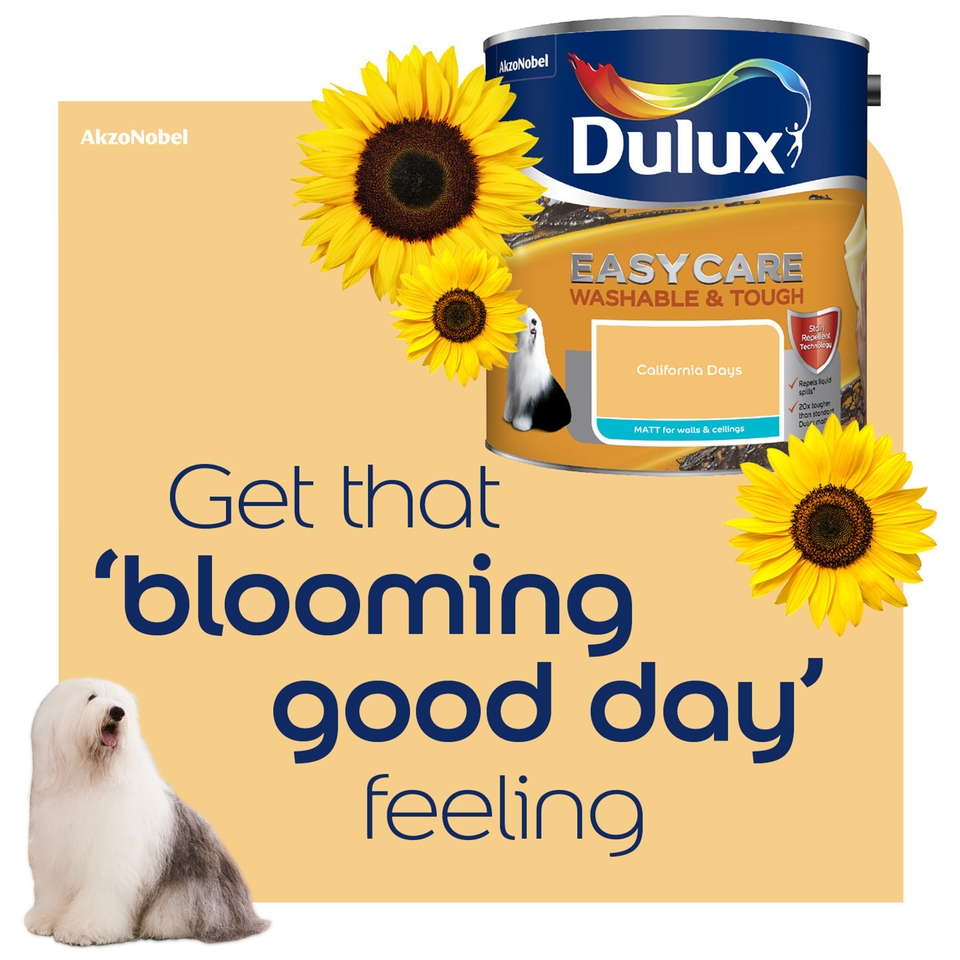 Dulux Easycare Washable & Tough Matt Emulsion Paint California Days 2