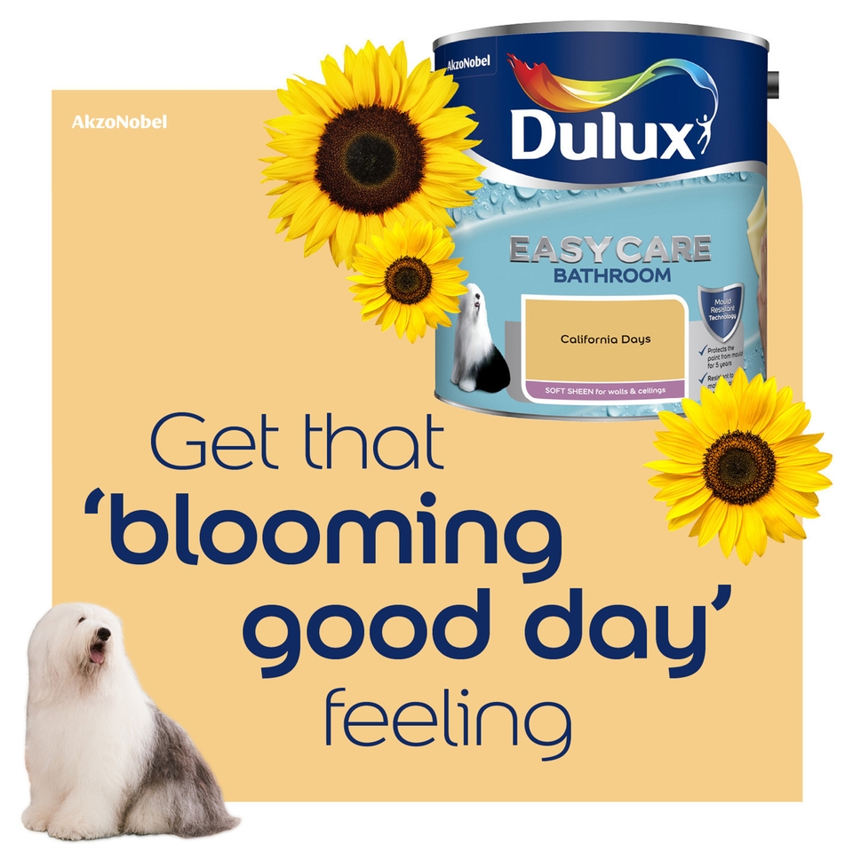 Dulux Easycare Bathroom Soft Sheen Paint California Days - 2.5L | Homebase