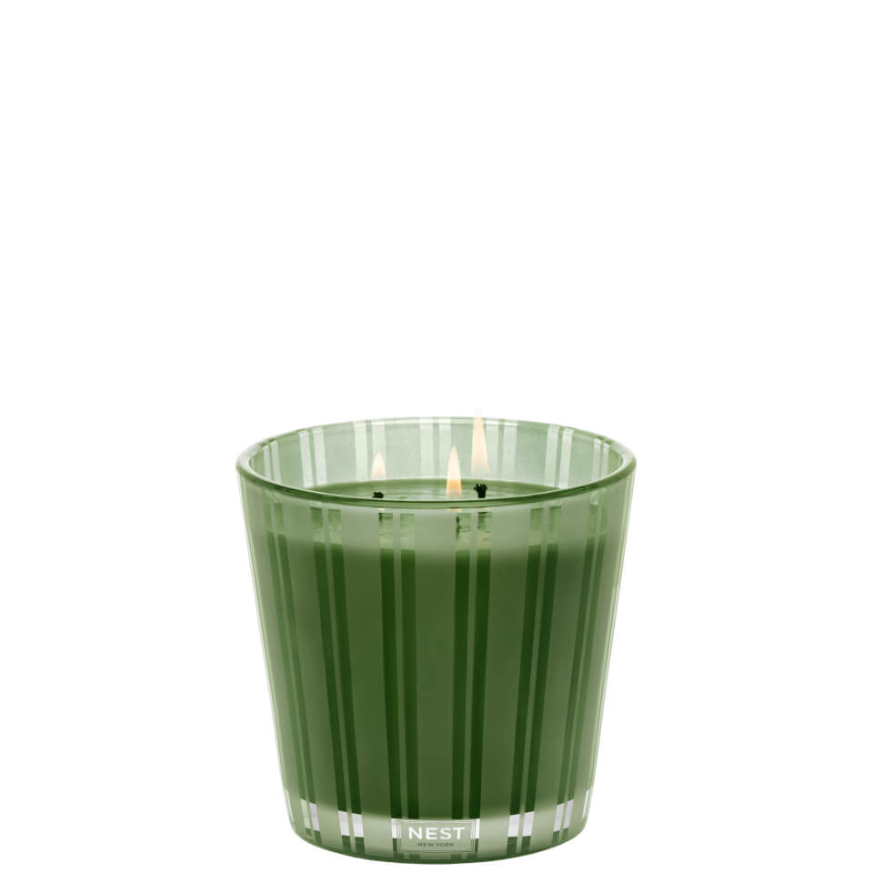 NEST New York Midnight Moss and Vetiver Classic Candle 230g