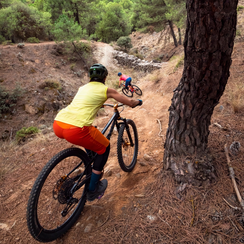 Women's SingleTrack Lite Short - Harvest