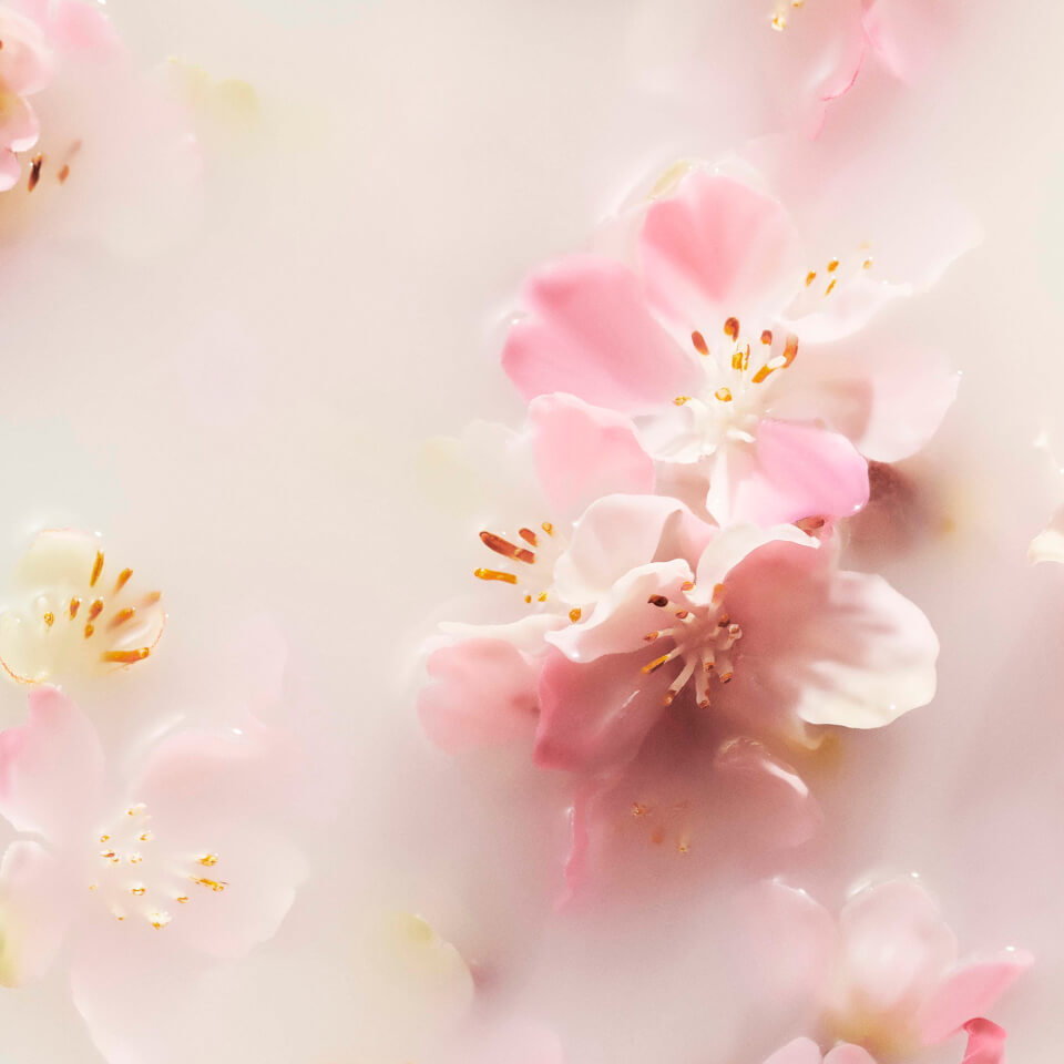Rituals The Ritual of Sakura Floral Cherry Blossom & Rice Milk Sakura Foaming Body Wash 200ml
