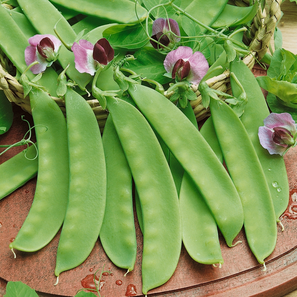 Vegetable Strip Mangetout Carouby de Maussane