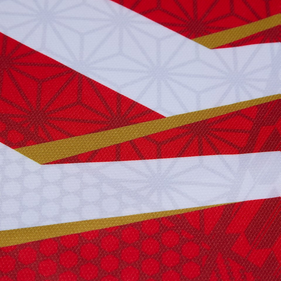 ADULT JAPAN RWC2023 HOME PRO JERSEY RED/WHITE