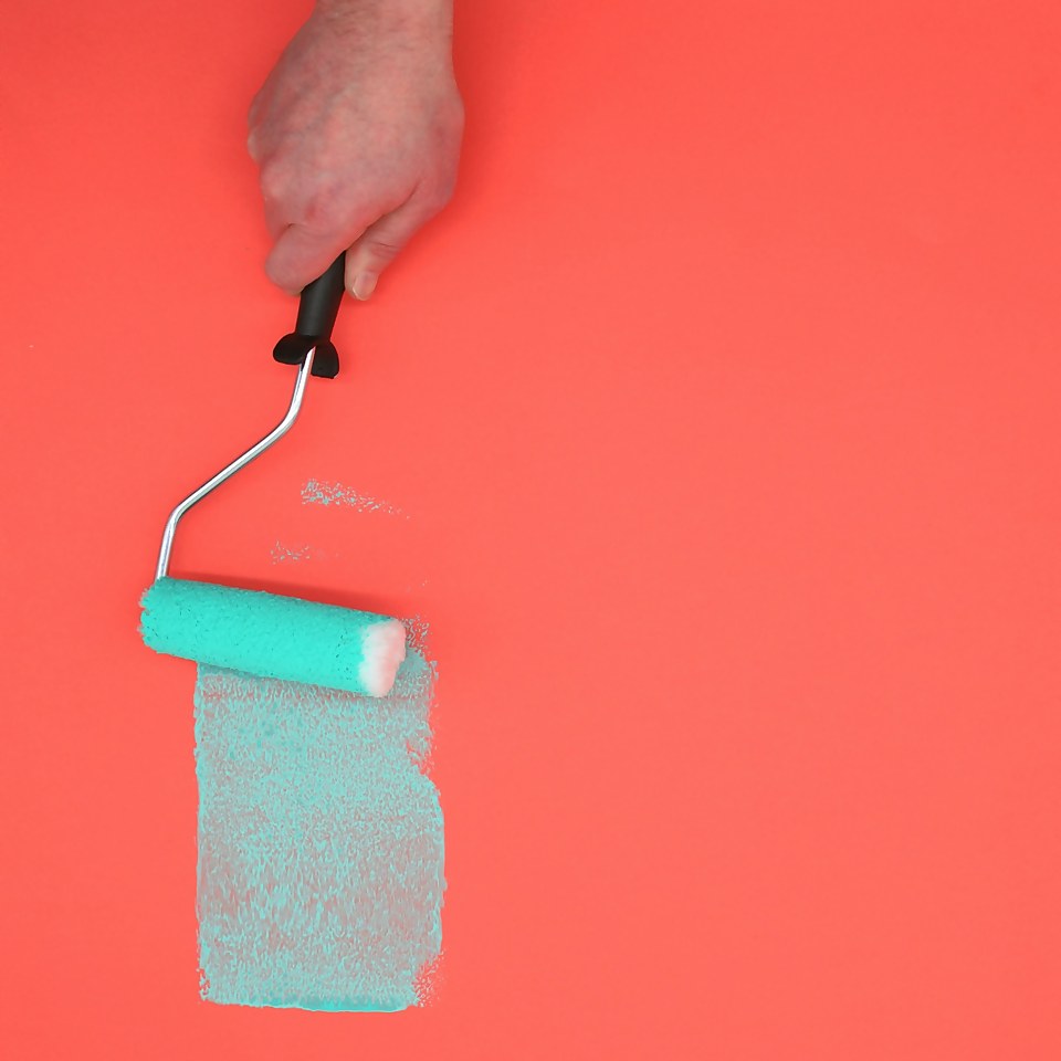 Pro Renovator 100mm Mini Paint Roller Kit 10 Pack Homebase