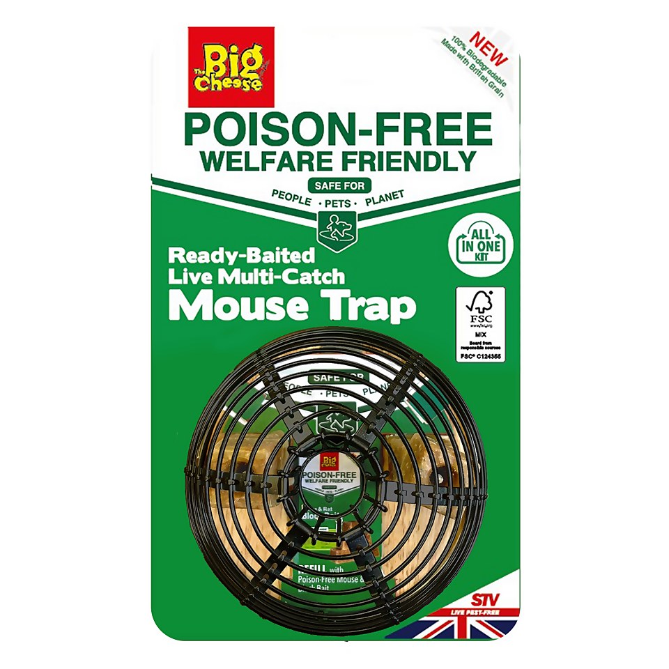 The Big Cheese Ready-Baited Live Multi-Catch Dome Mouse Trap, Poison Free and Humane