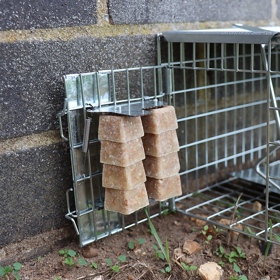 The Big Cheese Ready-Baited Rat Cage Trap, Humane and Poison Free