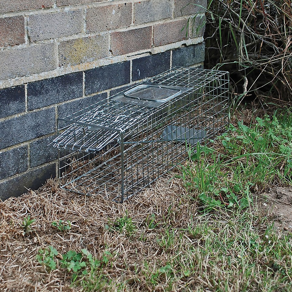 The Big Cheese Animal Trap - Easy to Set, Medium Trap for Rats, Squirrels and Small Wildlife