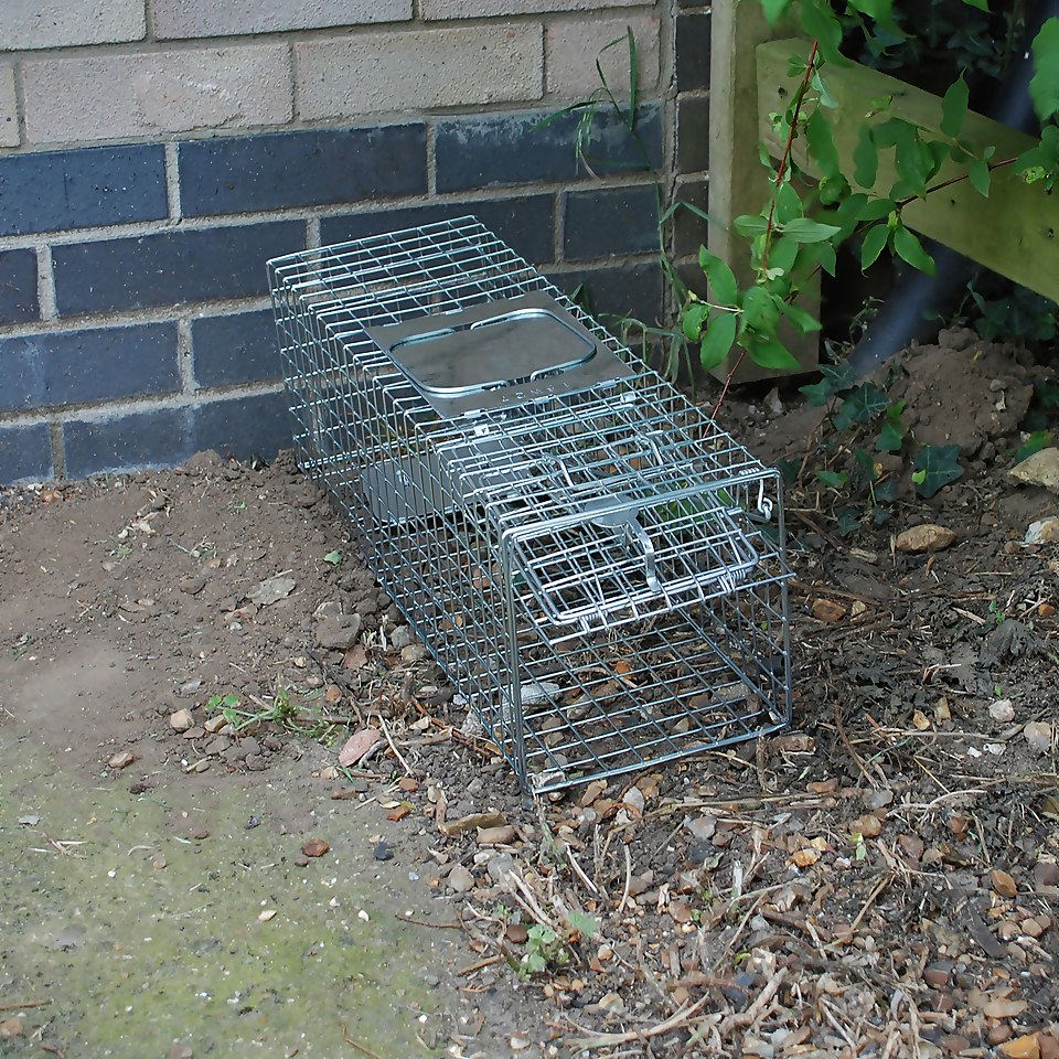 The Big Cheese Animal Trap - Easy to Set, Medium Trap for Rats & Squirrels