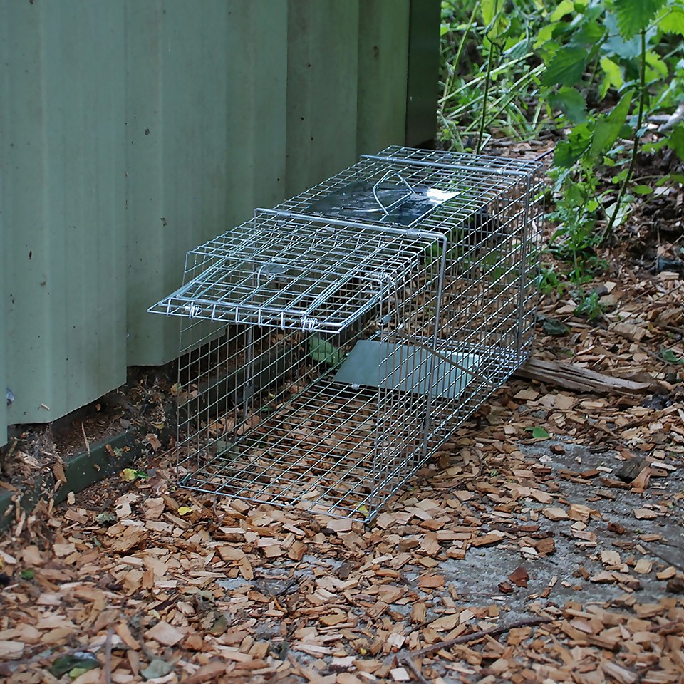 The Big Cheese Animal Trap - Easy to Set, Large Humane Trap for Rats, Squirrels and Wildlife