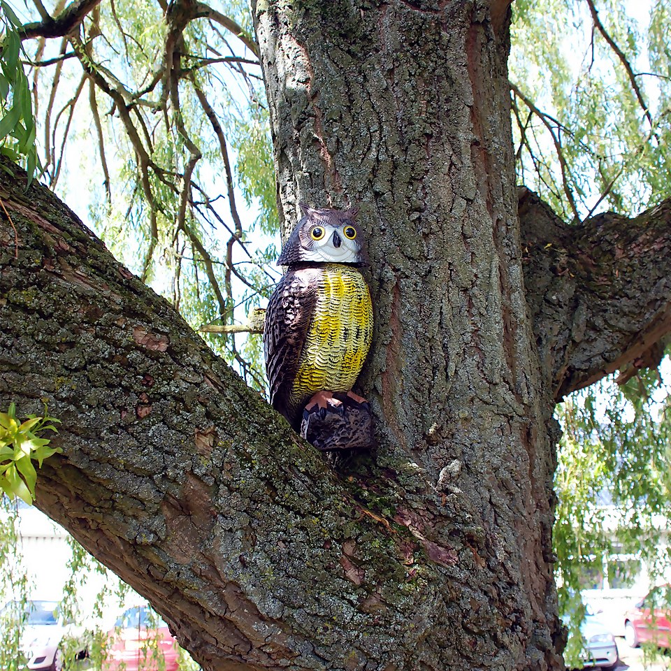 The Big Cheese Wind Action Owl Bird Deterrent
