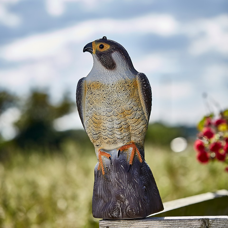 The Big Cheese Falcon -Life-Like Bird of Prey, Deters Bird and Animal Pests