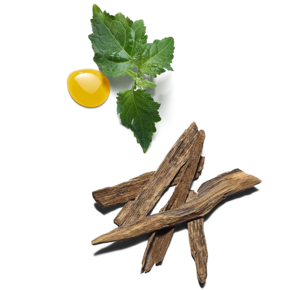 RITUALS The Ritual of Oudh Gift Set