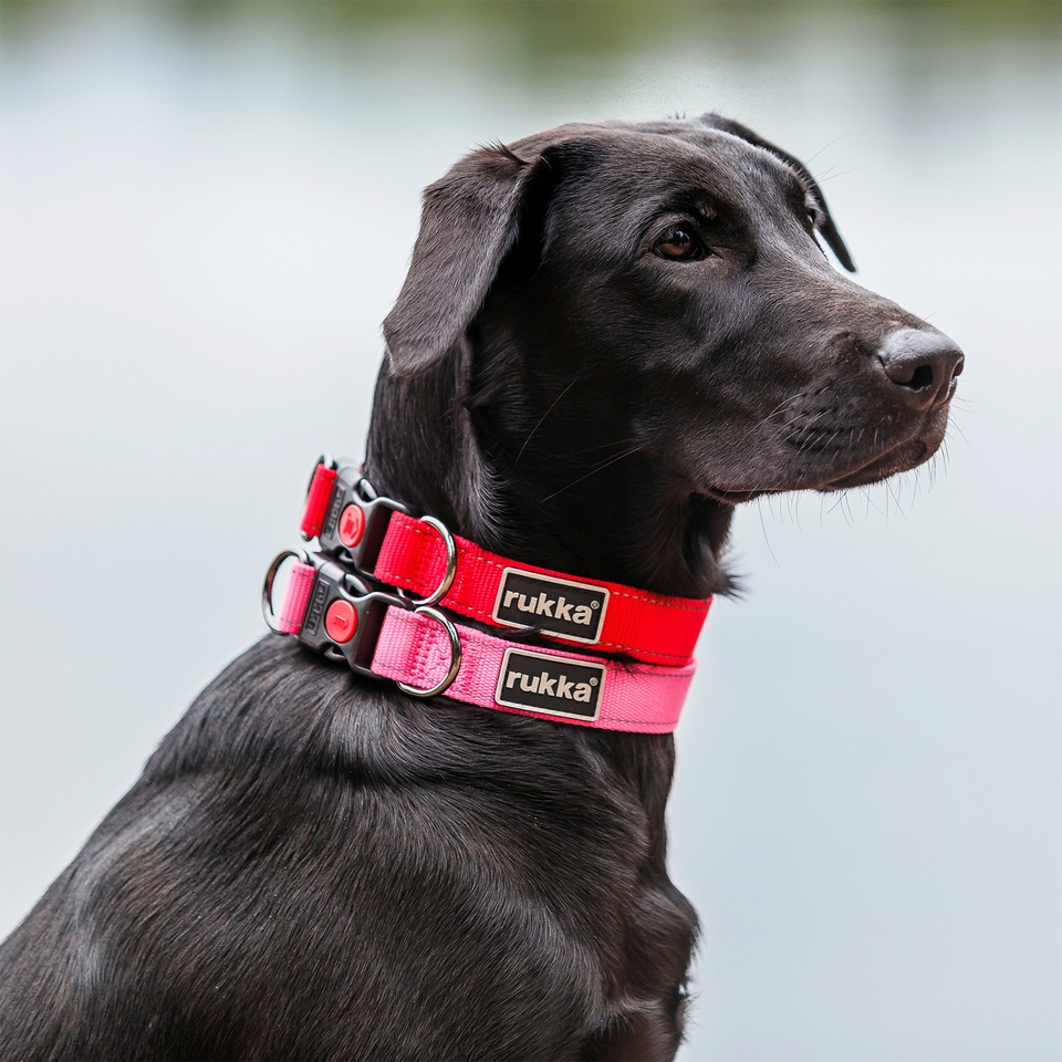 Bliss Collar - Raspberry