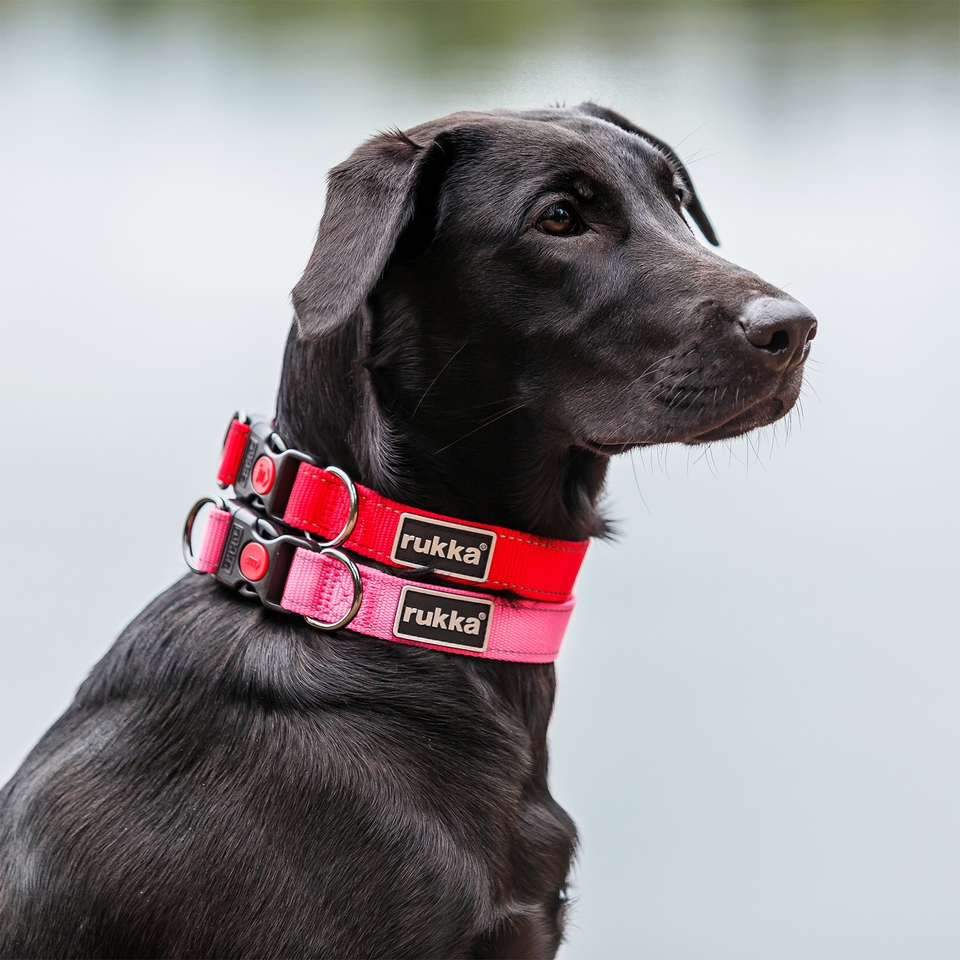Bliss Collar - Classic Red