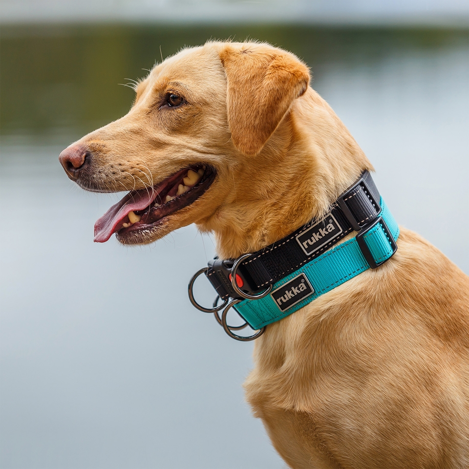 Bliss Collar - Black