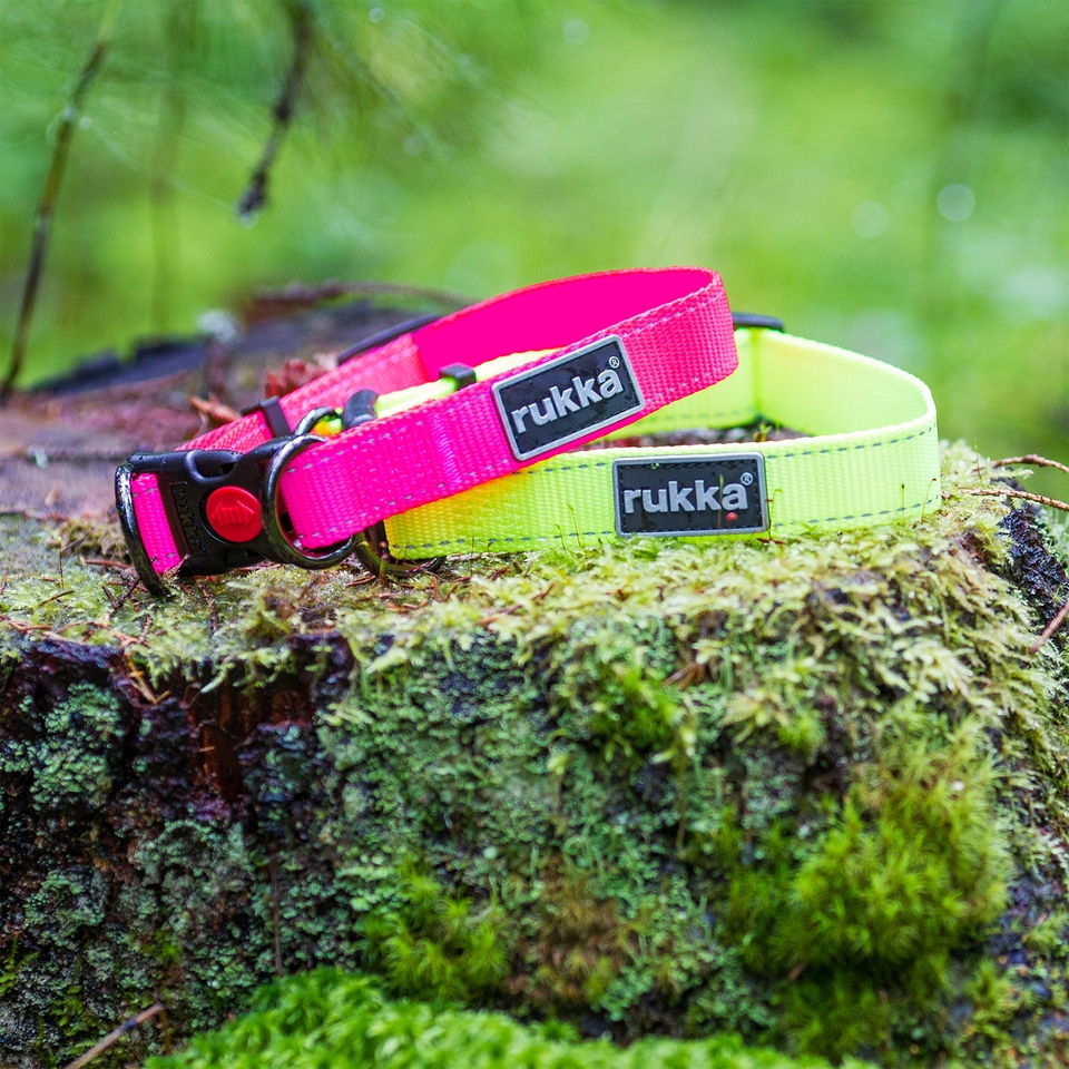 Bliss Neon Collar - Yellow