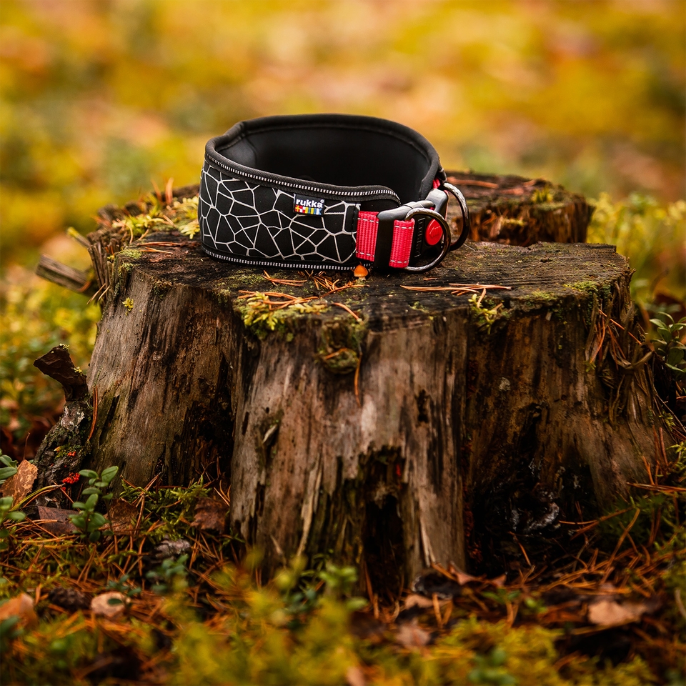 Cube Soft Collar - Classic Red