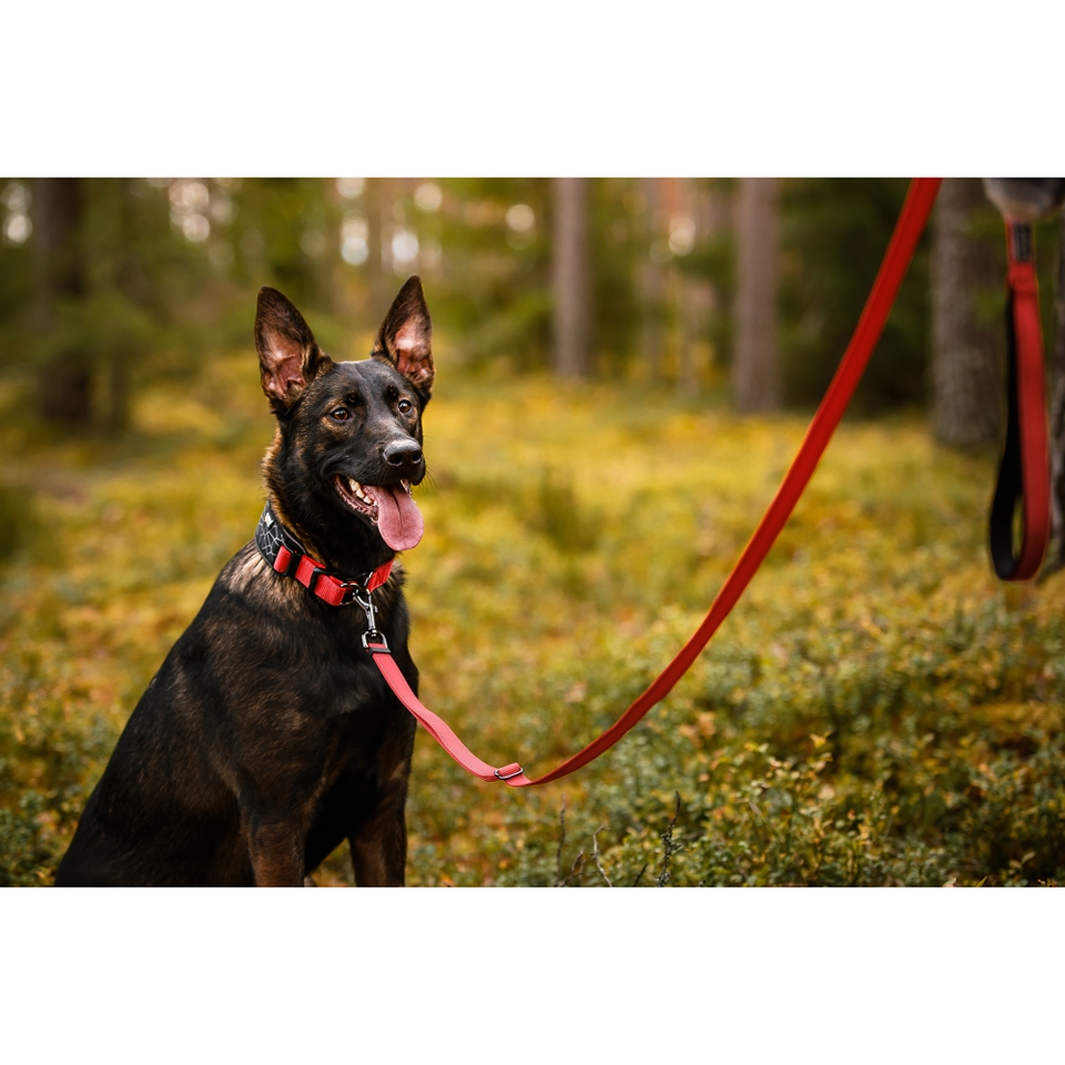 Cube Soft Collar - Classic Red