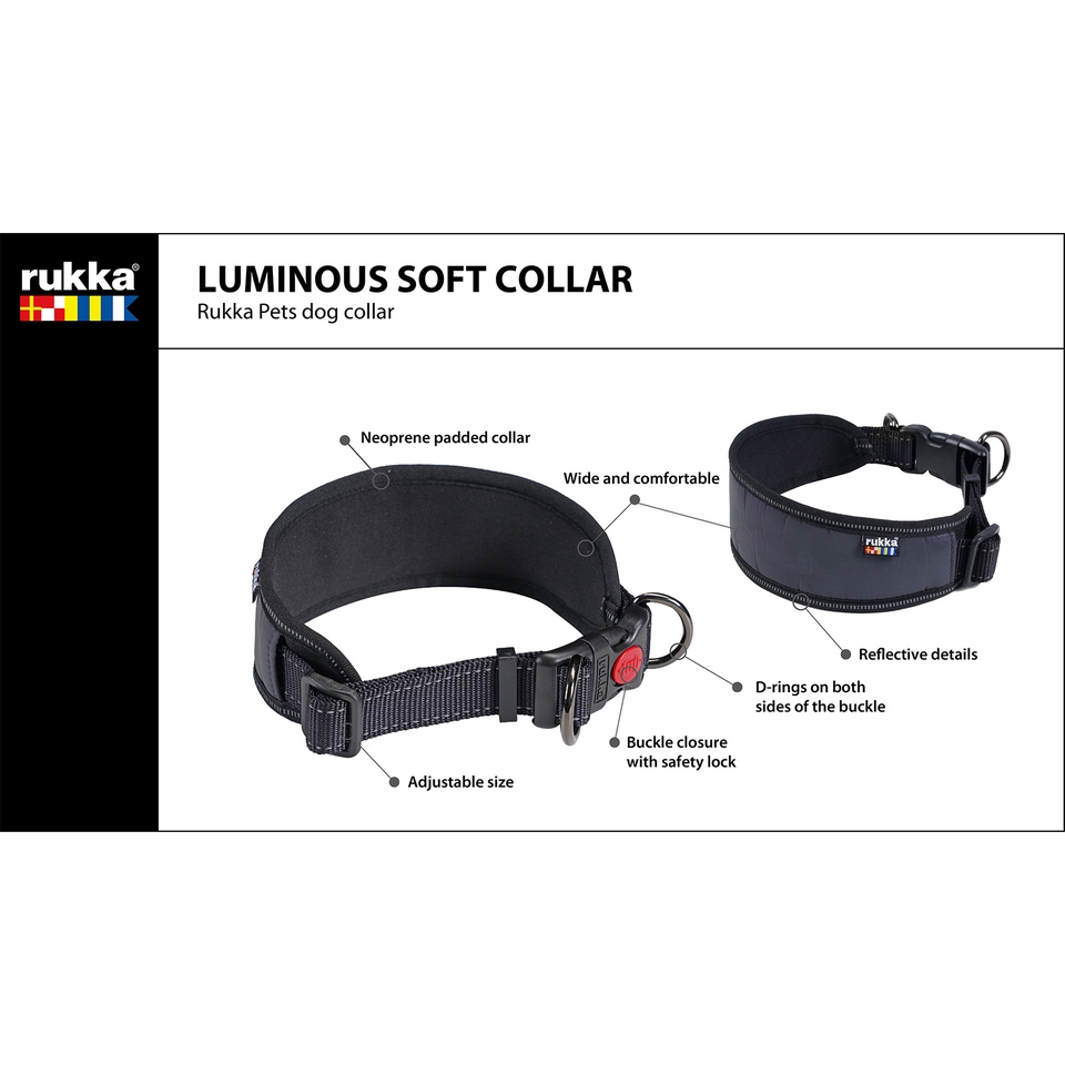 Luminous collars for dogs 2025