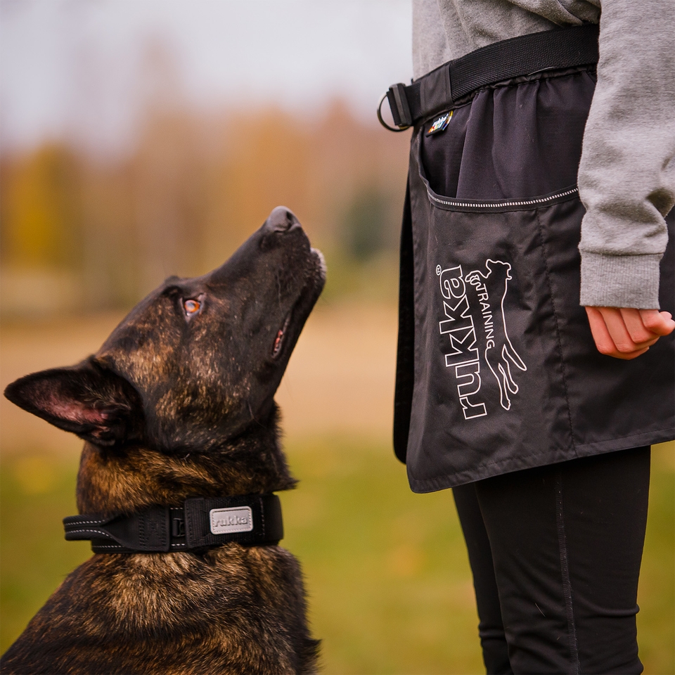 Mission Collar - Black