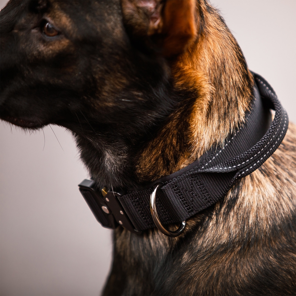 Mission Collar - Black