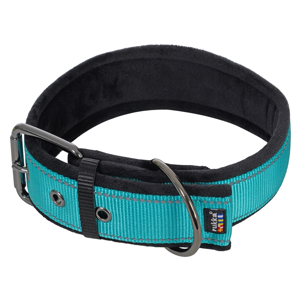 Form Soft Collar - Turquoise