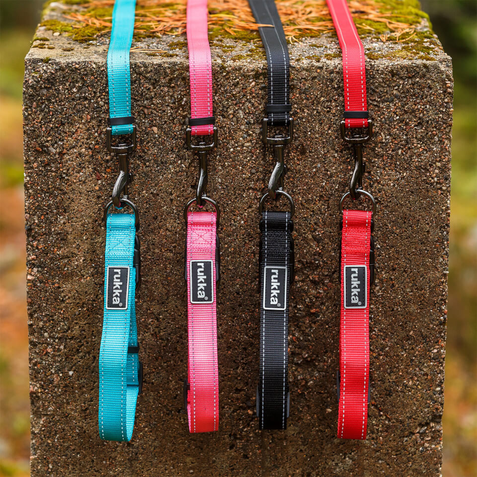 Bliss Leash - Turquoise