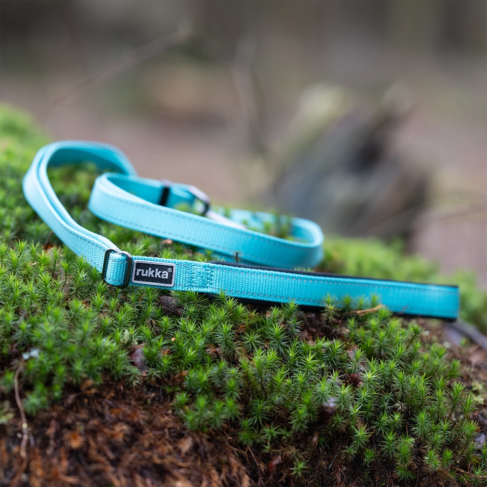Bliss Leash - Turquoise