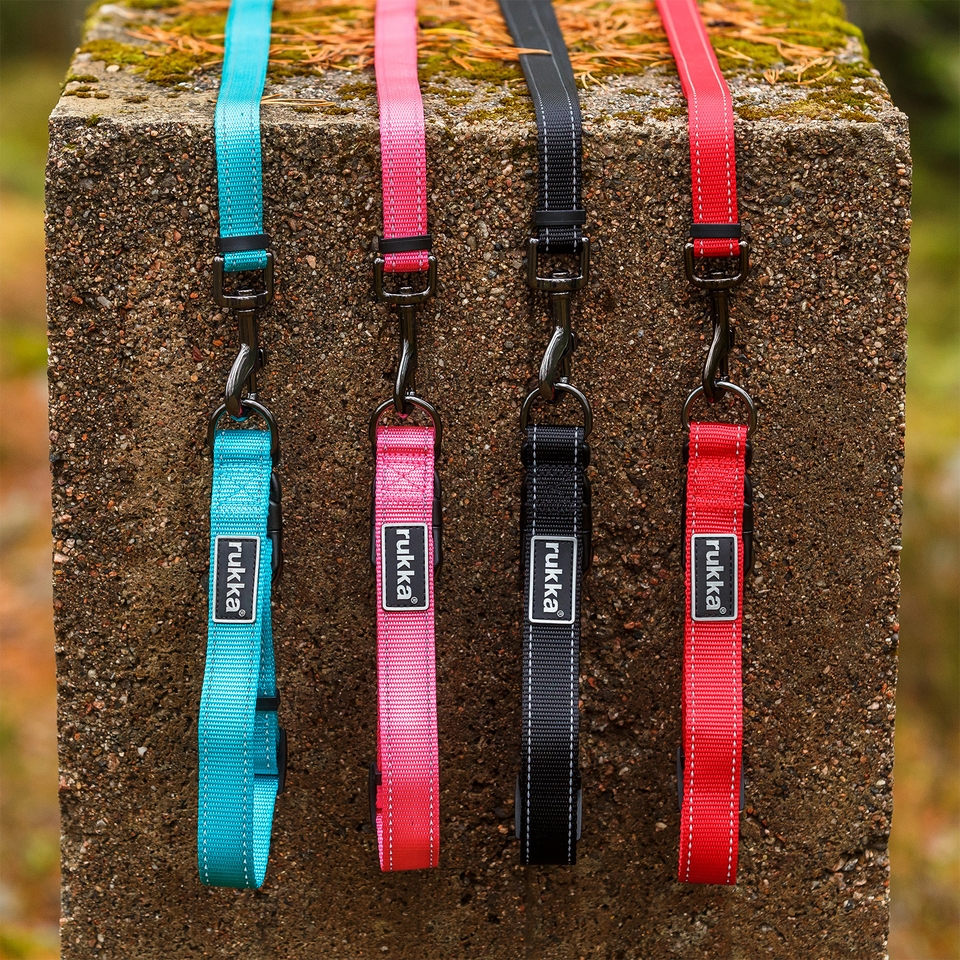 Bliss Leash - Raspberry