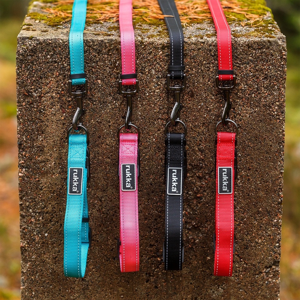 Bliss Leash - Classic Red