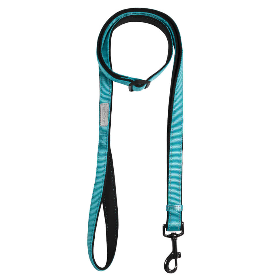 Solid Leash - Turquoise