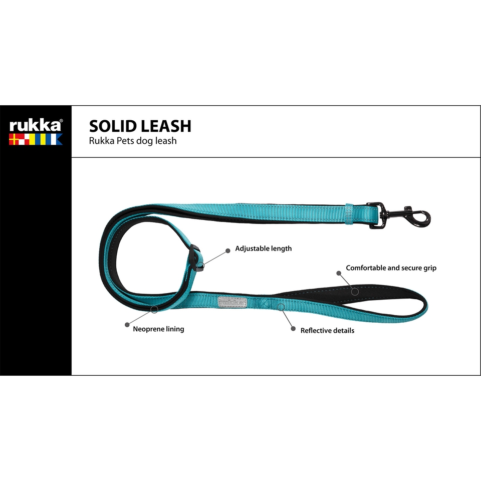 Solid Leash - Raspberry