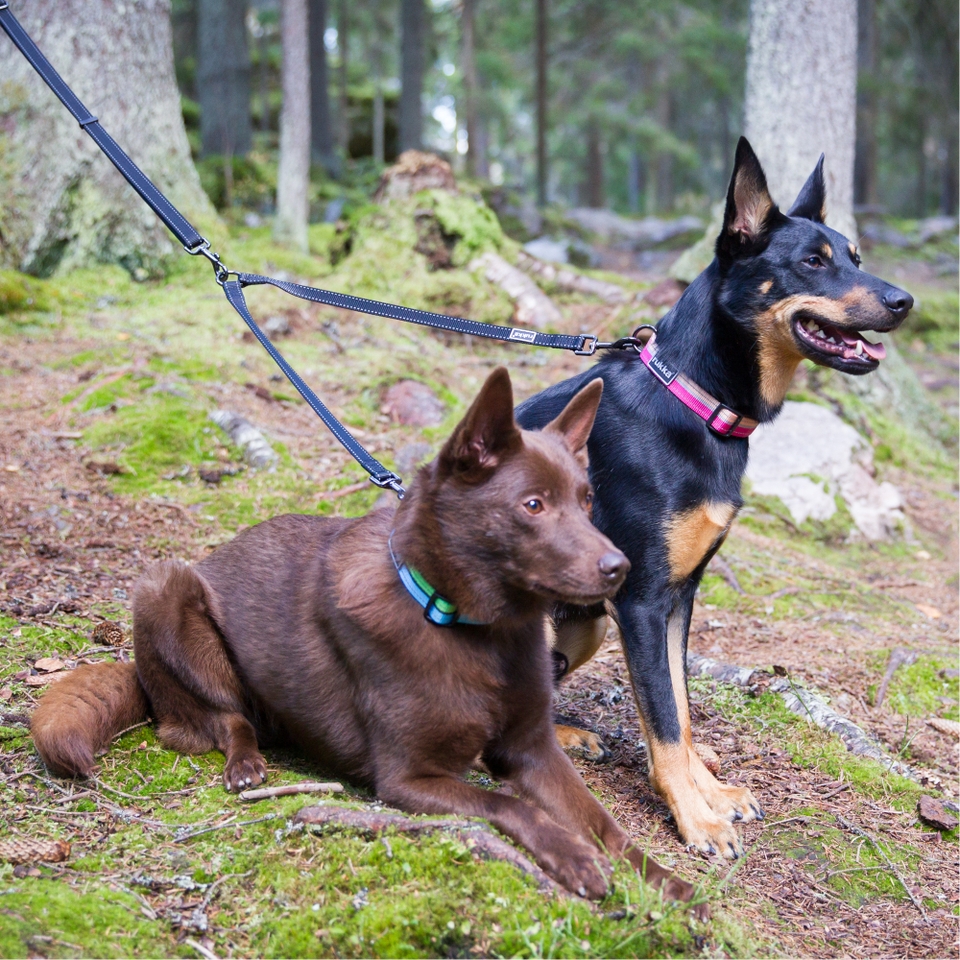 Bliss Double Dogs - Black
