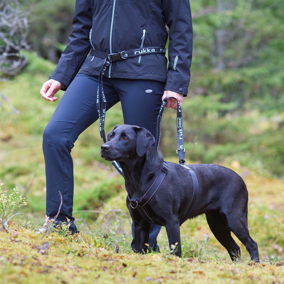 Hike Trail Leash - Grey