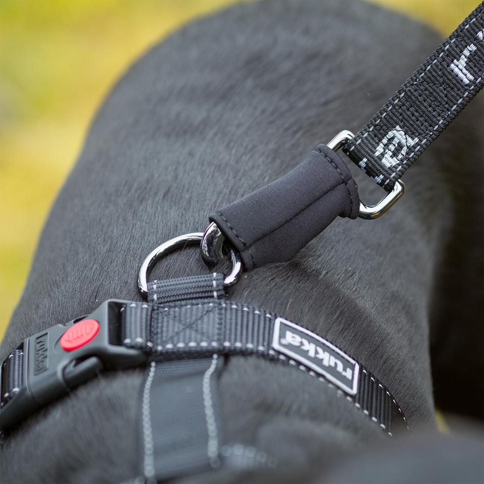 Hike Trail Leash - Grey