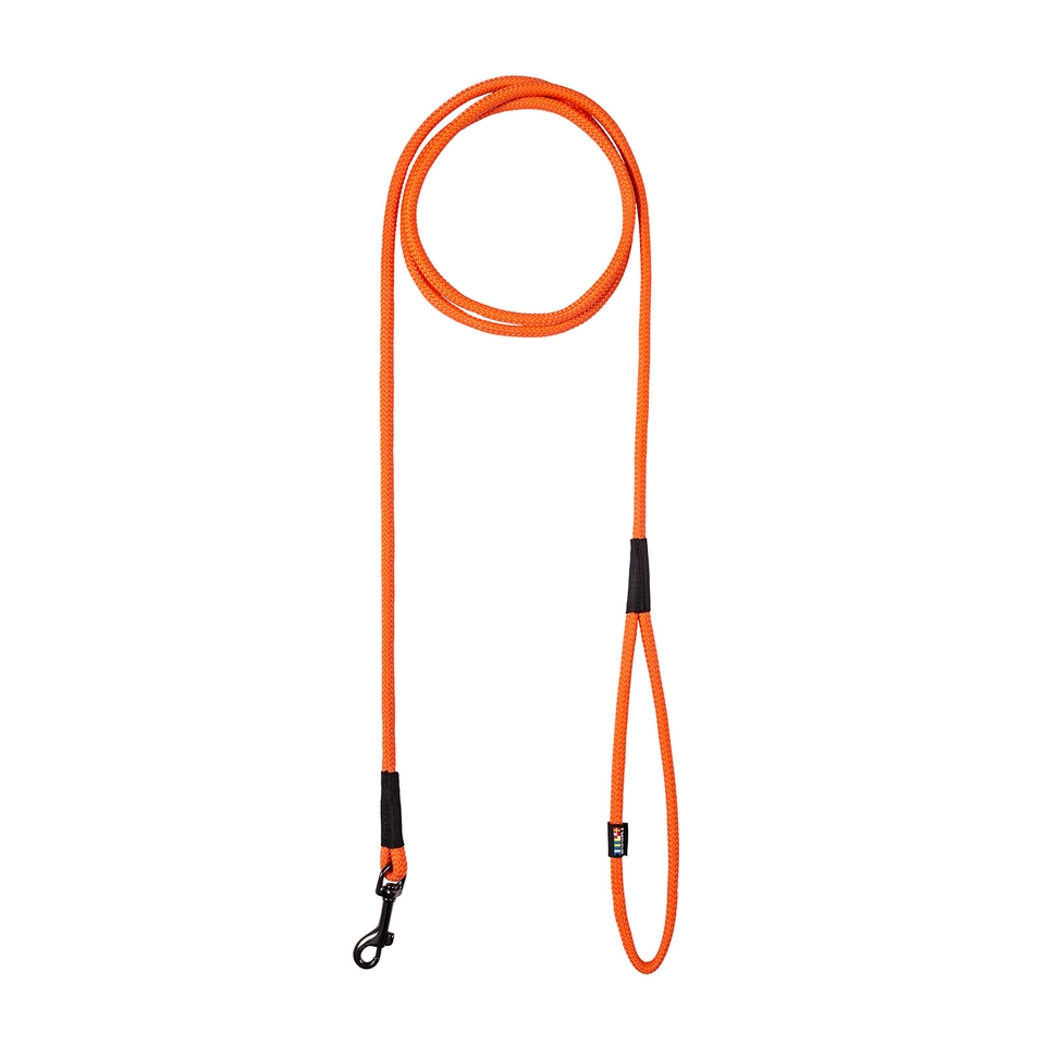 Swim Leash - Orange
